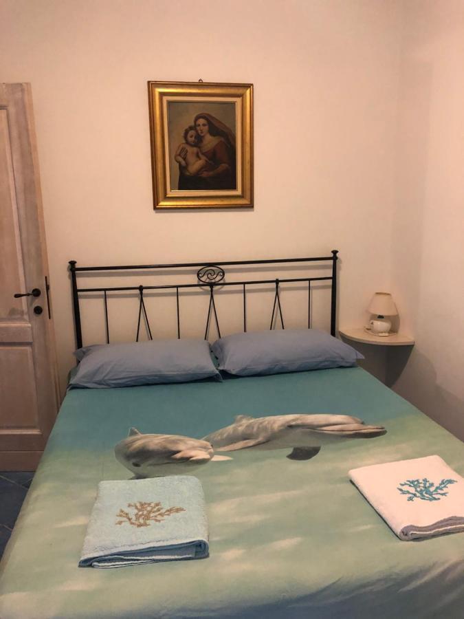 Tiffany Palau Bed & Breakfast エクステリア 写真