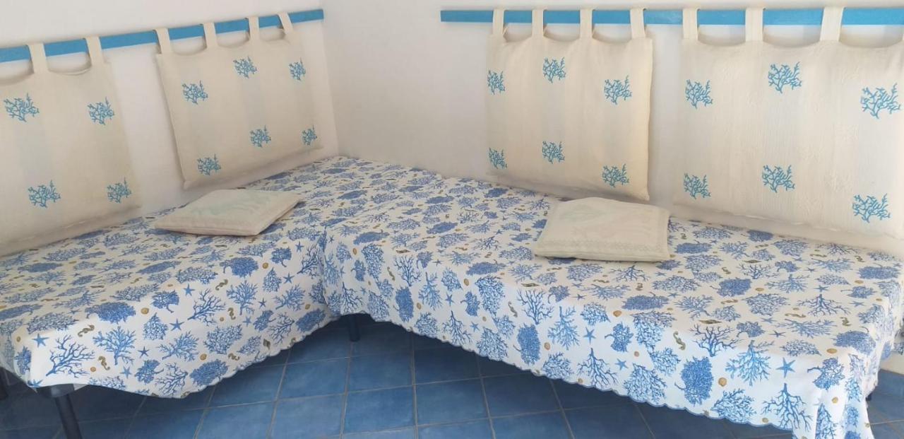Tiffany Palau Bed & Breakfast エクステリア 写真
