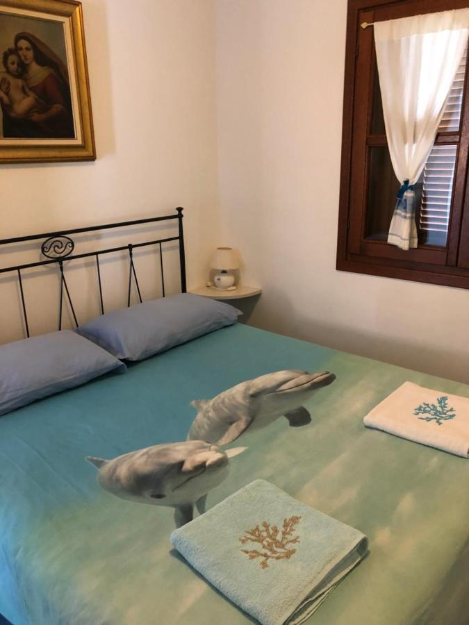 Tiffany Palau Bed & Breakfast エクステリア 写真